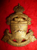 M164 - The Alberta Regiment Cap Badge